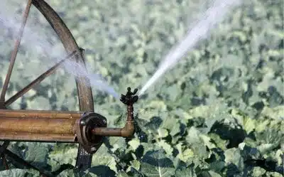 Les indispensables pour un système d'irrigation efficace choix du matériel et entretien