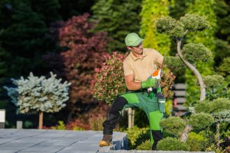 Paysagiste à Carcassonne : des idées innovantes pour un jardin harmonieux et élégant !
