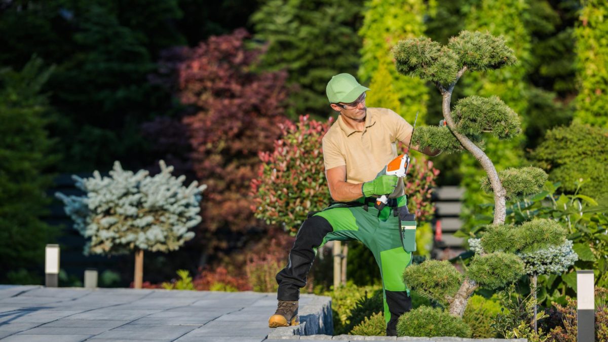 Paysagiste à Carcassonne : des idées innovantes pour un jardin harmonieux et élégant !